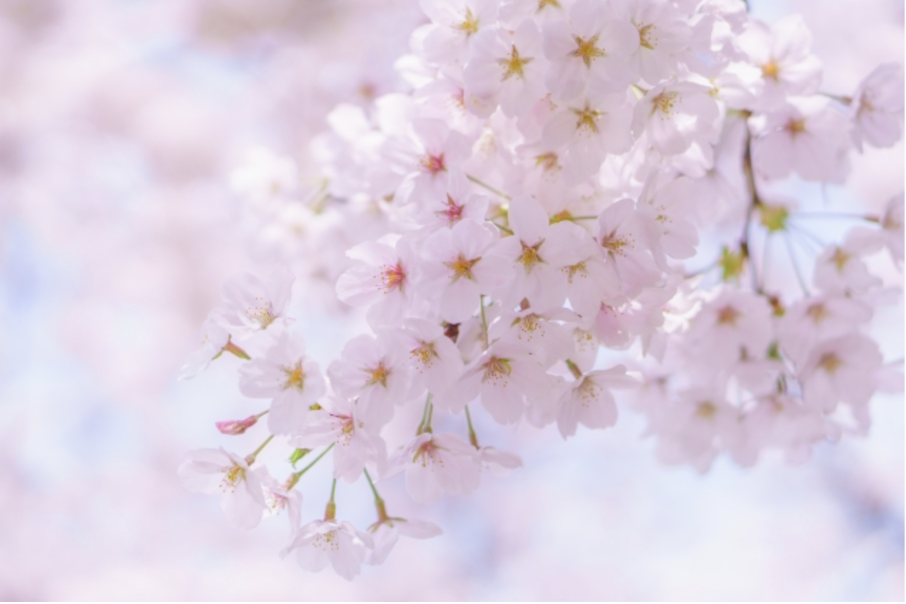 スクリーンショット 2026-04-02 6.01.15